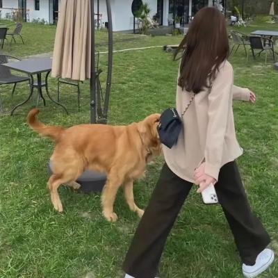 女高怪谈重启：母校